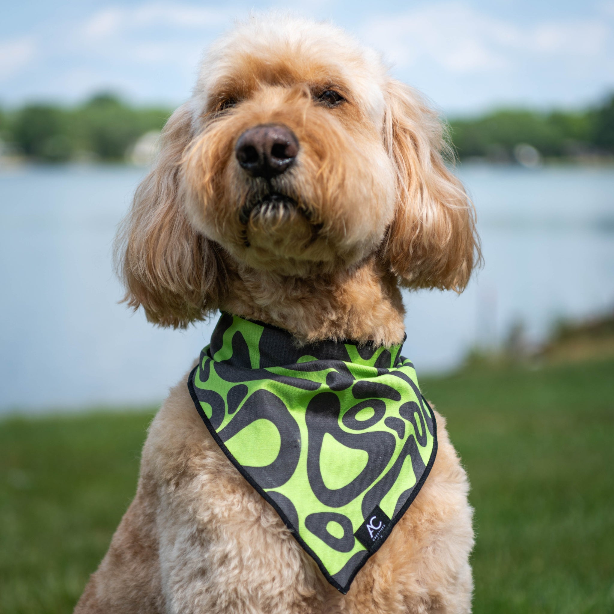 Blobs - Dog Bandana