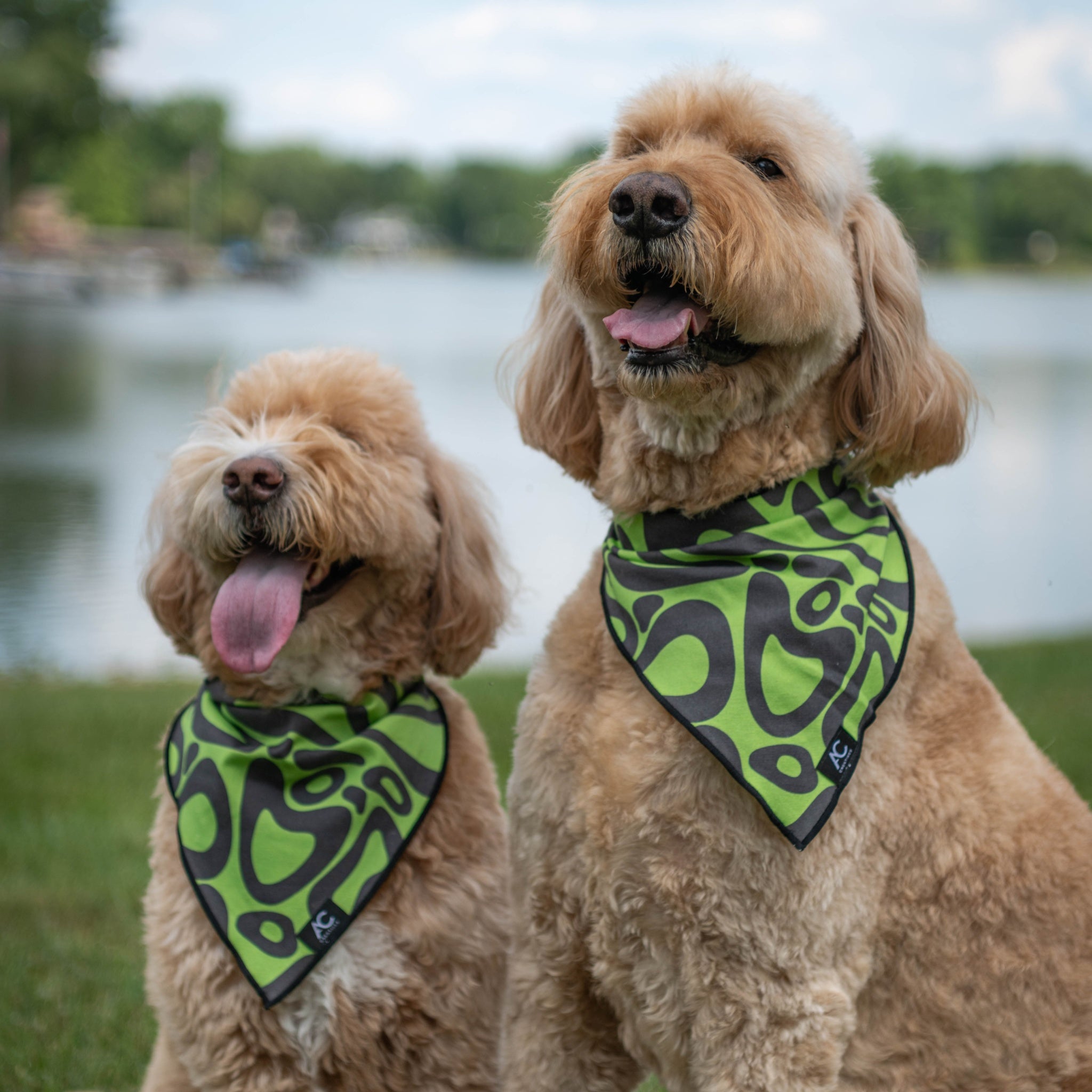 Blobs - Dog Bandana